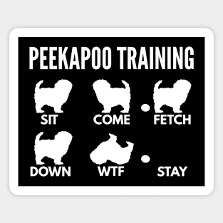 Peekapoo Training Peekapoo Tricks Magnet